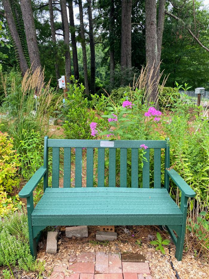 Bench in garden