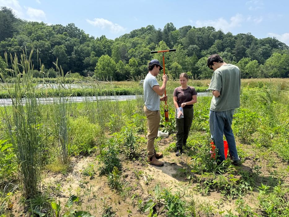Three people stand in a grassy research plot near a road, using a soil probe and recording field notes.