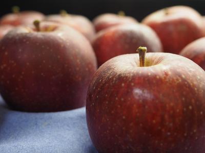Image of several apples on a tray in advance of fruit quality evaluations