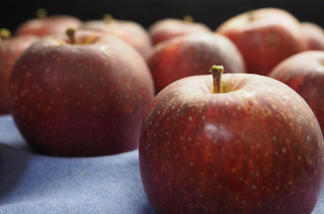 Image of several apples on a tray in advance of fruit quality evaluations
