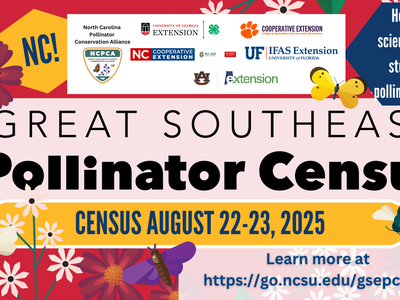 Great Southeast Pollinator Census banner image