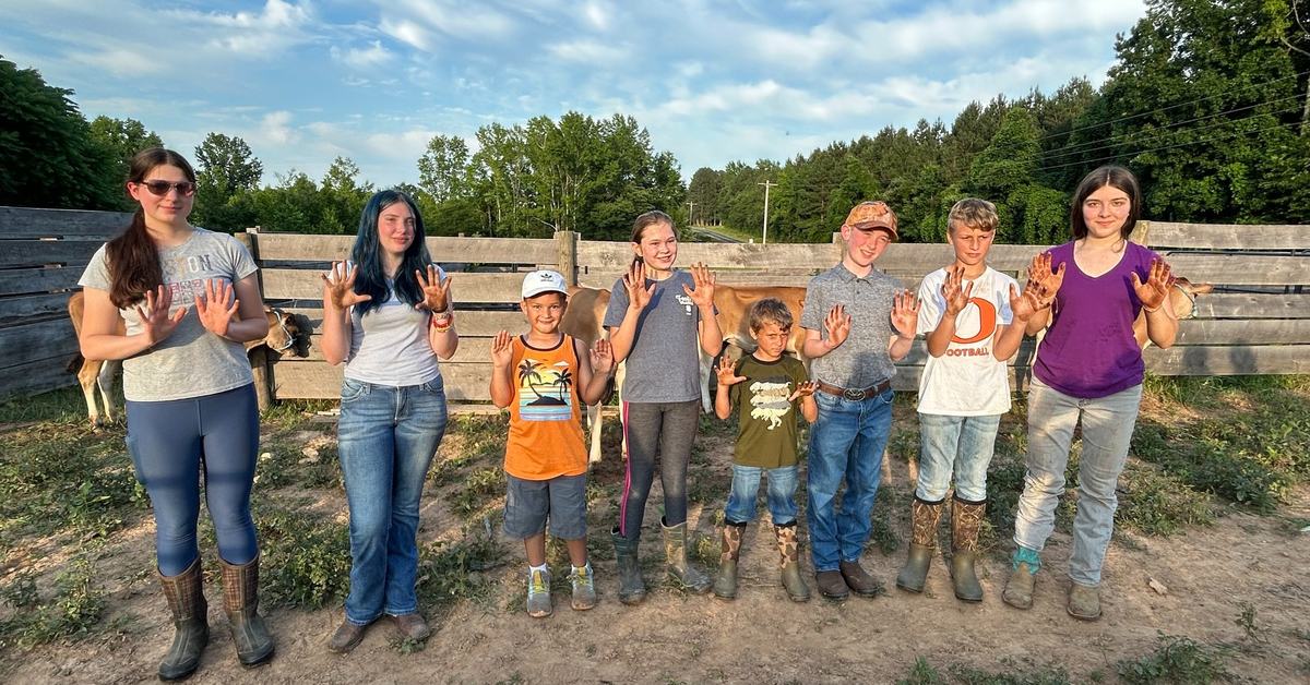 Eight children standing at a wooden fence showing muddy hands with cows behind them