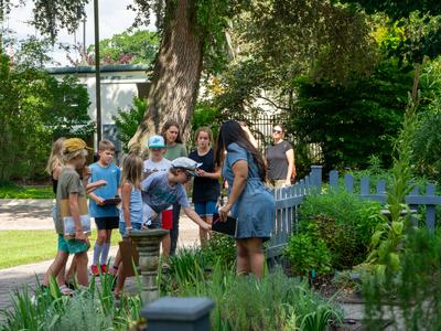 Children learning in the herb garden