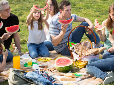 Picture of family having a picnic
