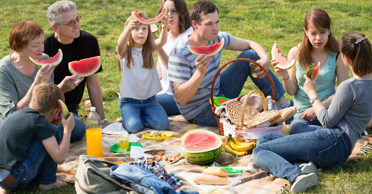 Picture of family having a picnic