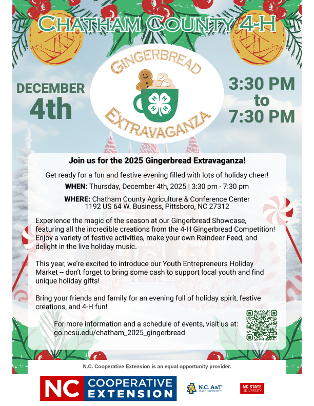 Gingerbread Extravaganza 2025