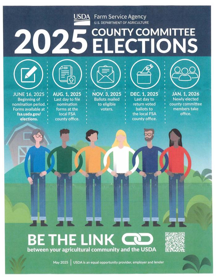 2025 FSA Local Committee Elections 