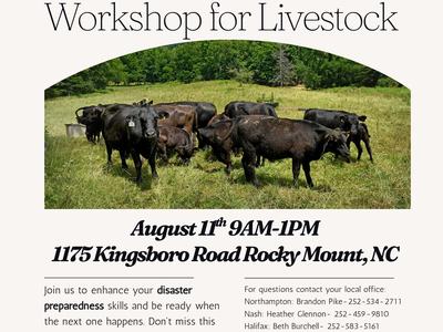 Flyer for Disaster Preparedness Workshop