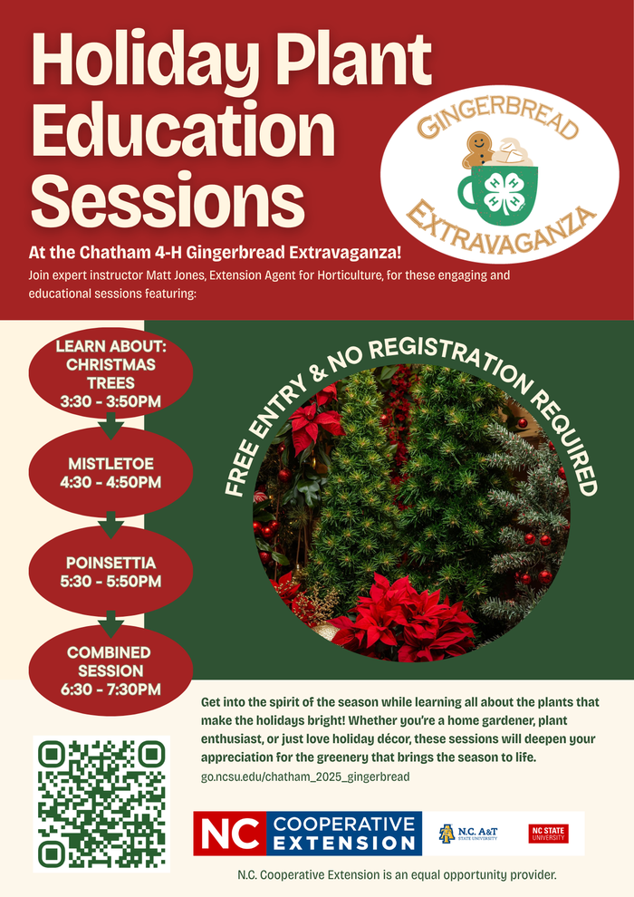 Holiday Plant Sessions Flyer