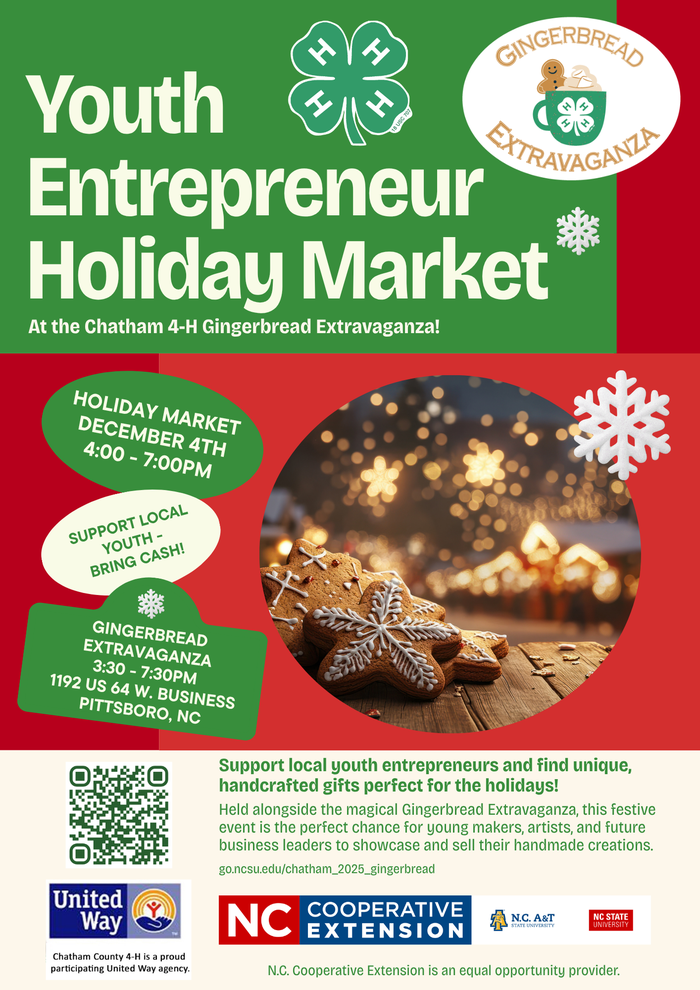 Youth Entrepreneur Holiday Market