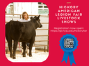 Flyer for the Hickory American Legion Fair Livestock Shows featuring a young exhibitor with a black cow; announces that registration is now open 