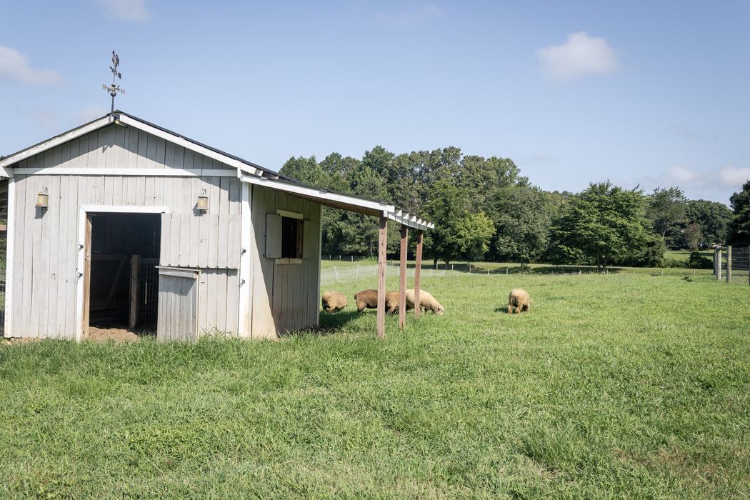 Farm barn