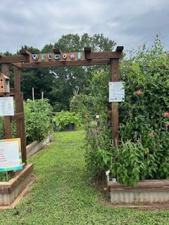 Entrance to a community garden with a wooden archway labeled “WELCOME,” flanked by raised beds full of flowering plants and greenery.