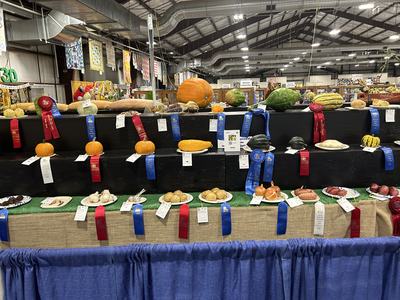 Tiered display of pumpkins, squash and vegetables with award ribbons.