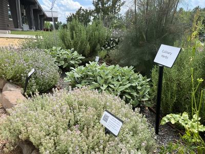 Chatham Demonstration Herb Garden