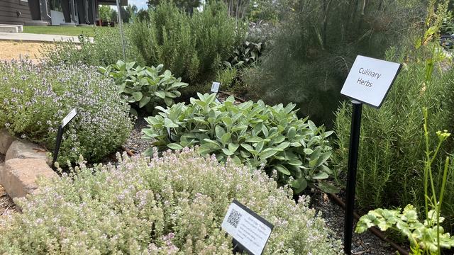 Chatham Demonstration Herb Garden