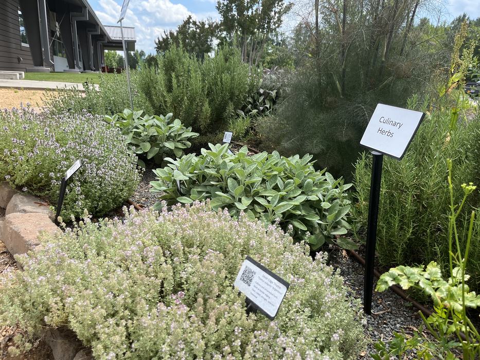 Chatham Demonstration Herb Garden