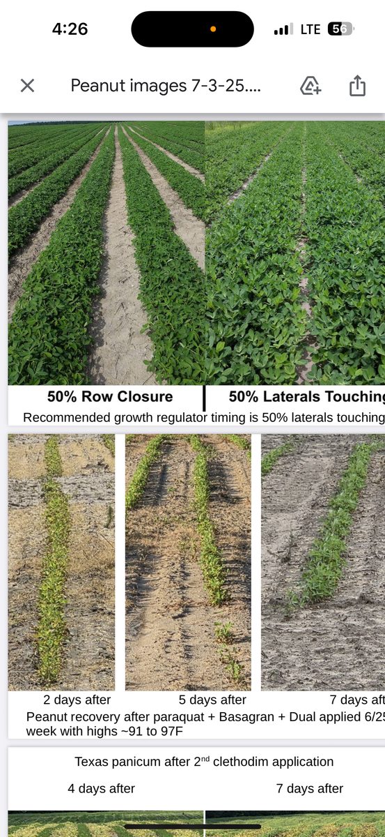 Row closure versus laterals touching.
