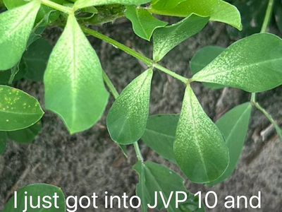 Light spots beginning at the base of the plants leaf.