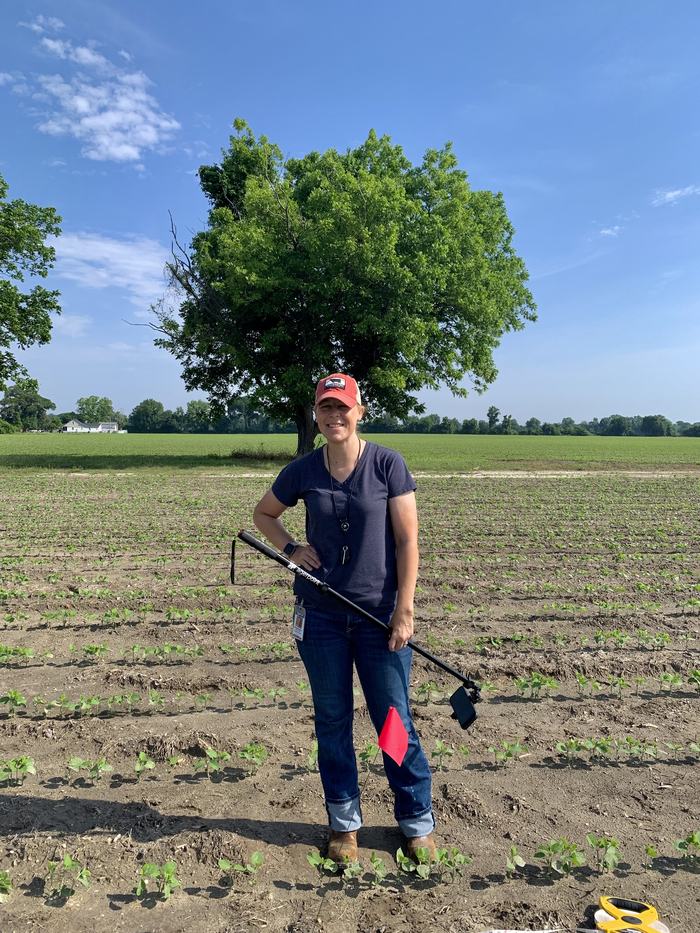 Image features Crops & Livestock Agent Melissa Huffman in a soybean field collecting data with AgerPoint AI technology