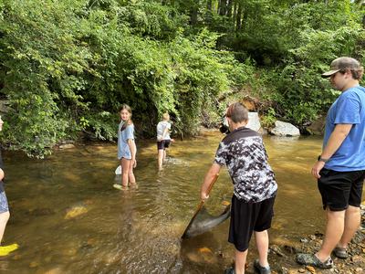 Children and a teen in a shallow wooded stream; boy scooping water with a net