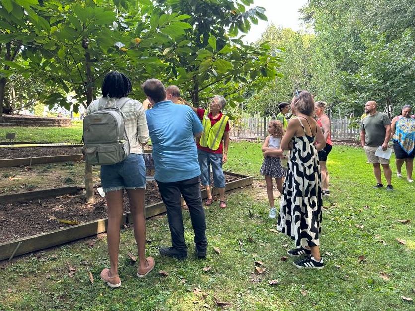 A group of people looking at trees