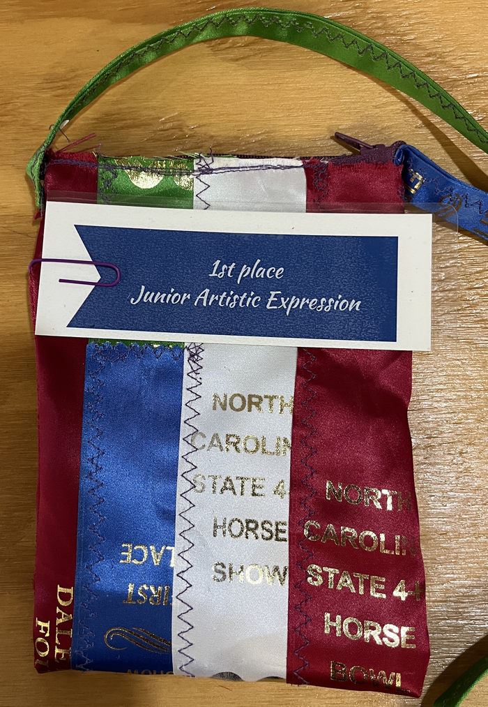 Ribbon bundle with tag reading "1st place Junior Artistic Expression"
