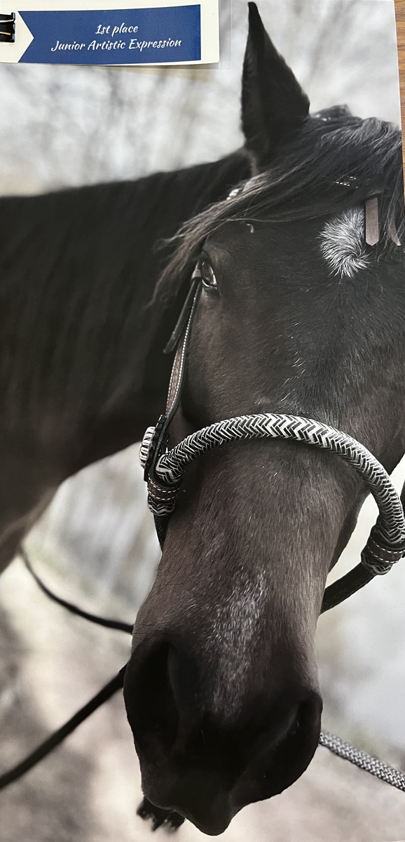 Close-up of horse face with braided bridle; ribbon reads "1st place Junior Artistic Expression"