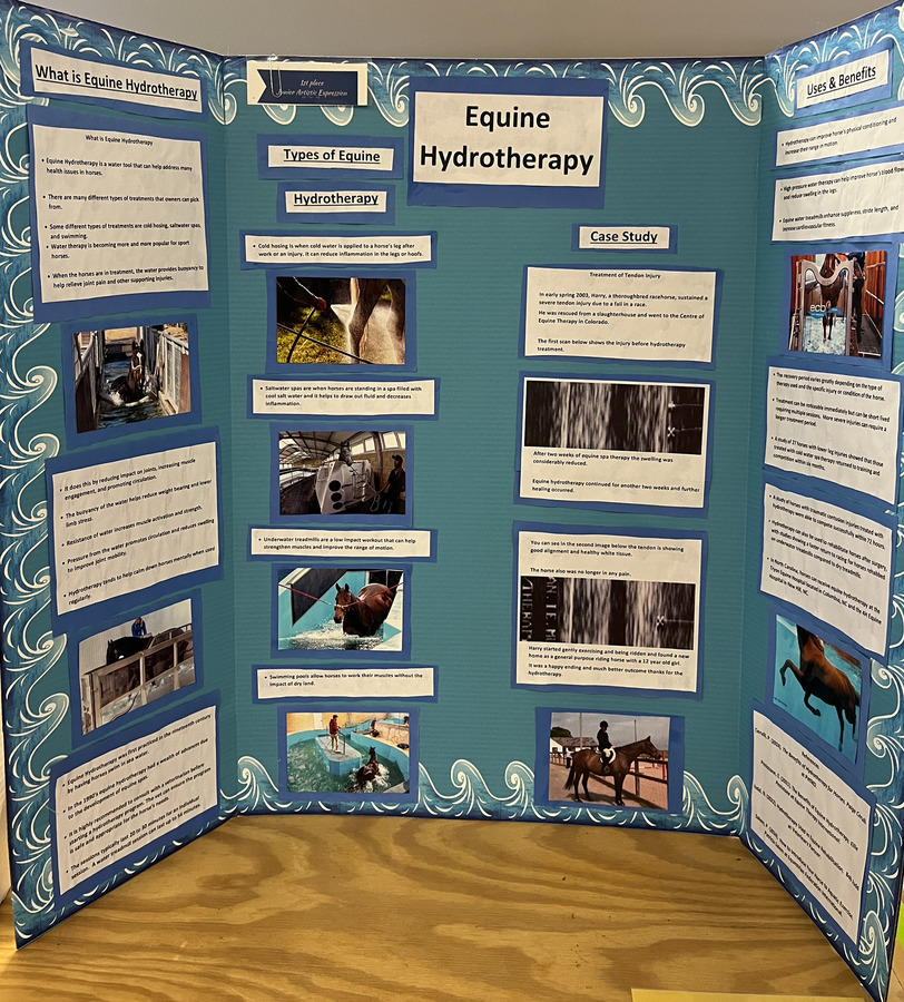 Tri-fold poster titled "Equine Hydrotherapy" with photos and explanatory text.
