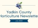 July Newsletter Banner