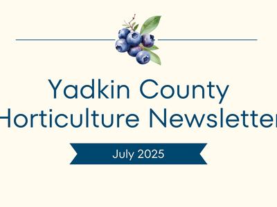July Newsletter Banner
