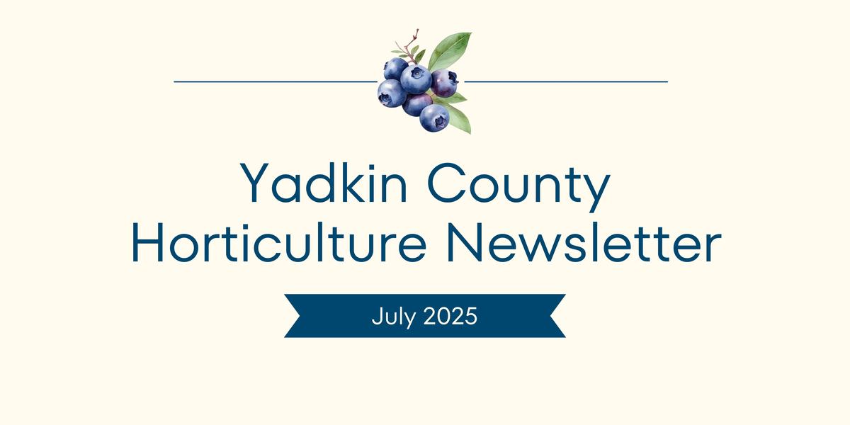 July Newsletter Banner