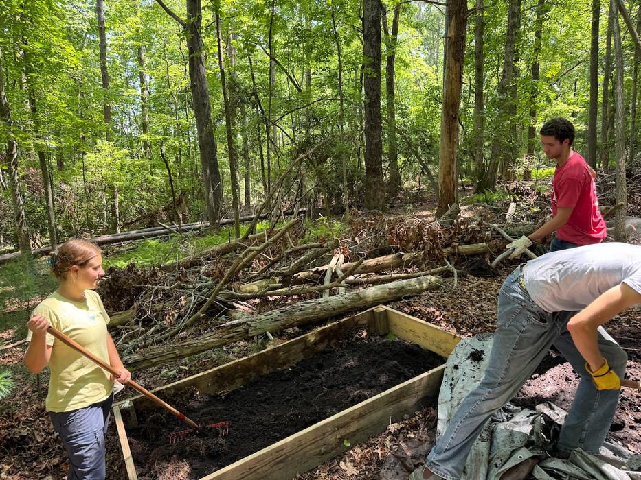 Three people work on a raised garden bed in a wooded area, spreading soil and clearing debris.