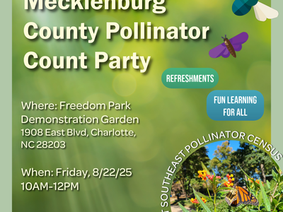 Mecklenburg County Pollinator Count Party