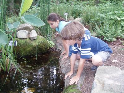 Two children check out a small stream at UNC Botanical Garden..