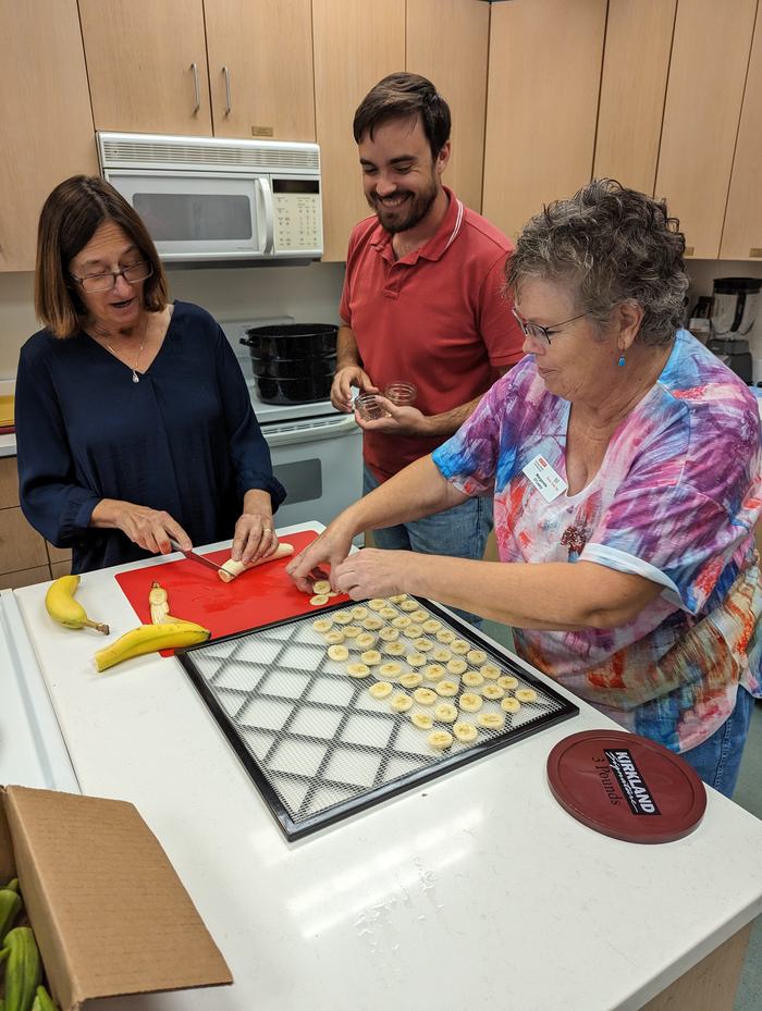 A group of people slicing bananas to be preserved via dehydration.