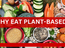 Why Eat Plant-Based?