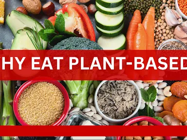 Why Eat Plant-Based?