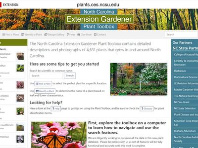 NC Extension Gardener Plant Toolbox