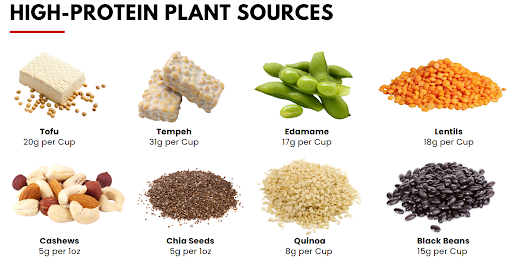 High Protein Plant Sources including Tofu, Tempeh, Edamame, Lentils, Cashews, Chia Seeds, Quinoa and black beans.