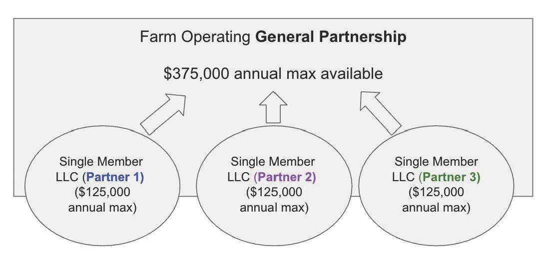Farm Operating General Partnership $375,000 max; three single-member LLCs (Partners 1–3) $125,000 each