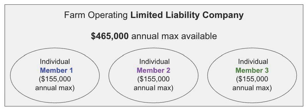 Farm Operating Limited Liability Company: $465,000 max; three members each $155,000 max