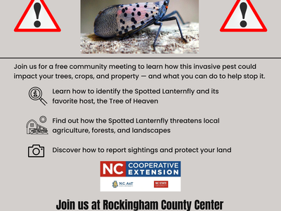 Spotted Lanternfly invading Rockingham County flyer with insect photo and meeting info