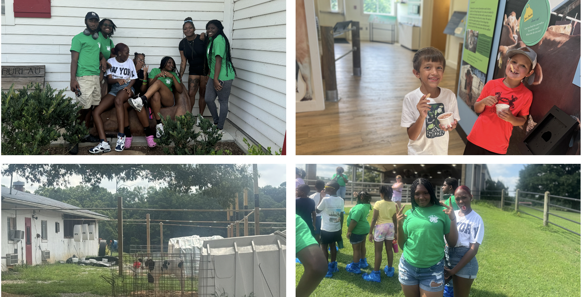 Youth and teens engage in a variety of 4-H tour activities, including posing for group photos, enjoying ice cream, viewing livestock pens, and participating in outdoor learning near farm facilities.