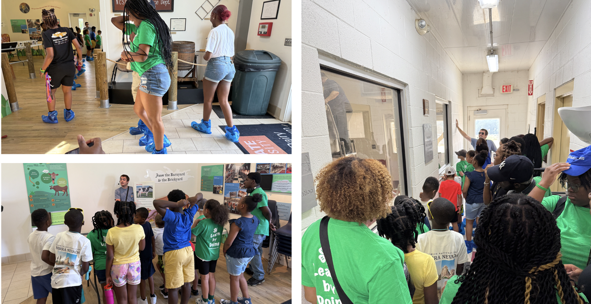 Children and teens wearing blue shoe covers participate in a guided indoor agricultural tour, listening to presenters, observing facilities through windows, and learning from educational wall displays.