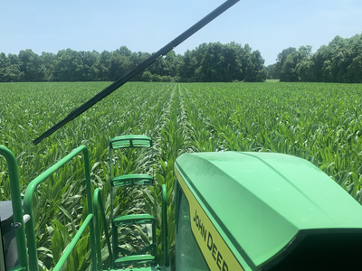 corn foliar application