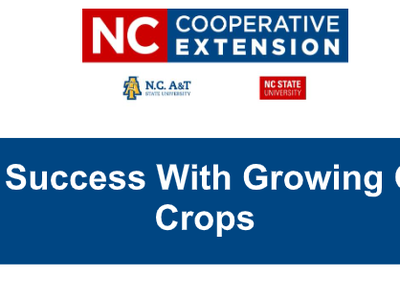 Success With Growing Cover Crops