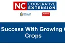 Success With Growing Cover Crops