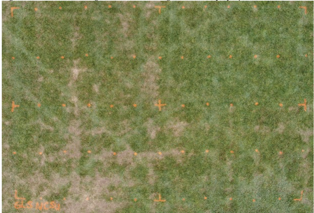 Grass field with evenly spaced orange survey grid markers, dots and crosshair at center
