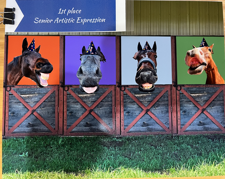 Four horses with party hats leaning from stall doors; text "1st place Senior Artistic Expression"